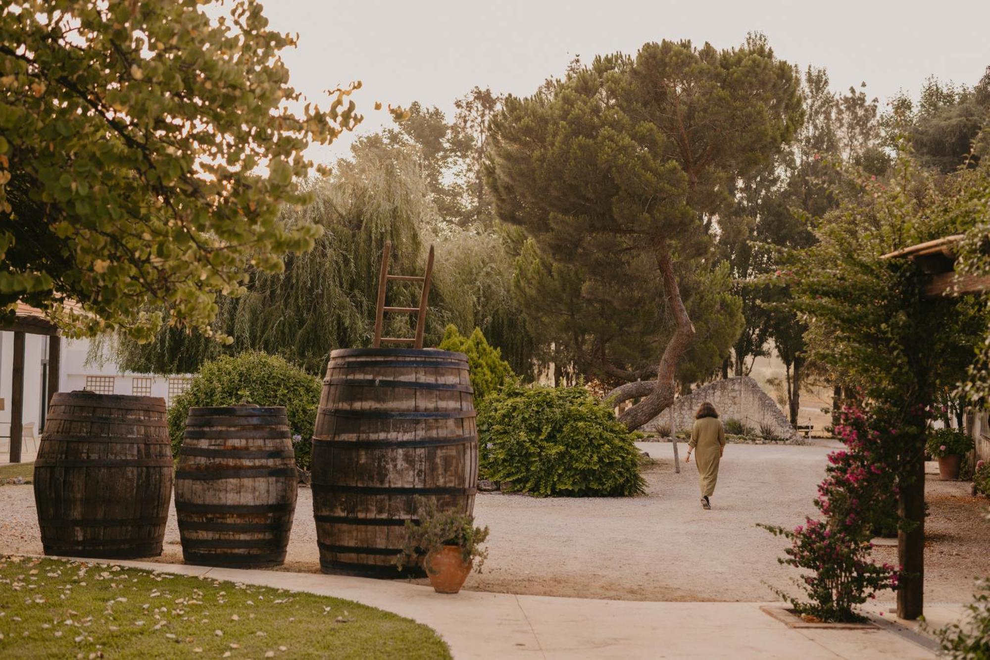 Casevel Quinta Carvalhas - The Green Farm酒店 外观 照片