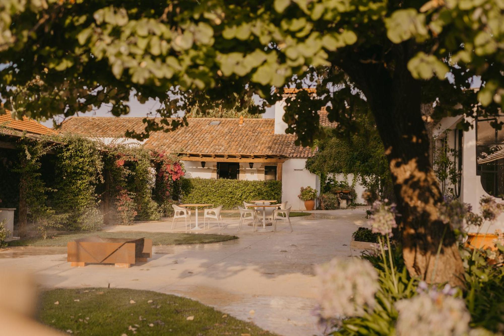 Casevel Quinta Carvalhas - The Green Farm酒店 外观 照片