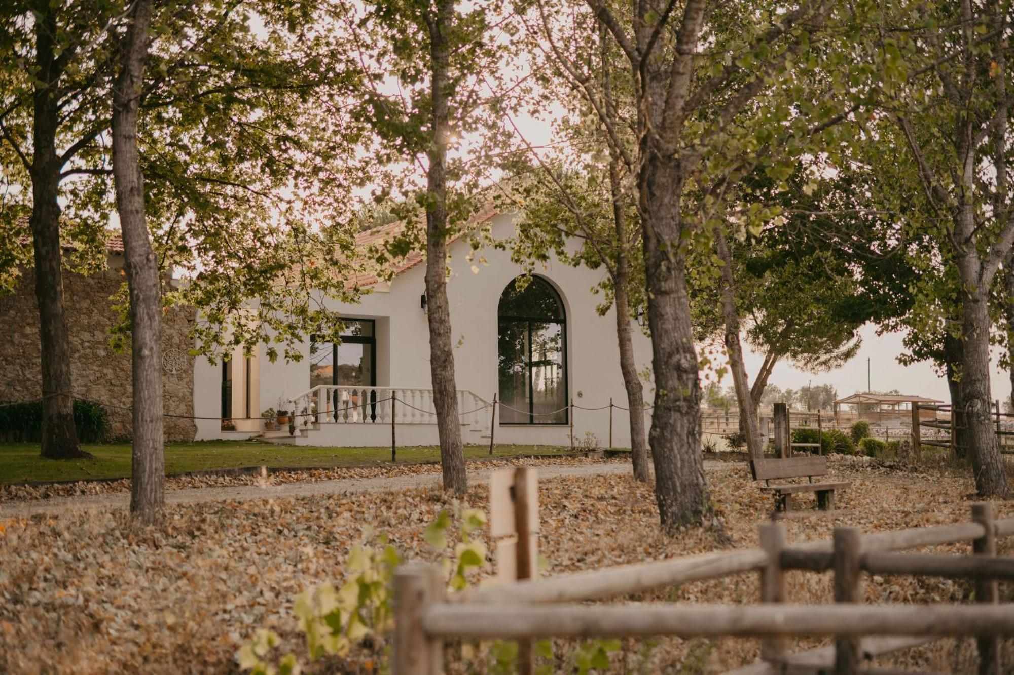 Casevel Quinta Carvalhas - The Green Farm酒店 外观 照片